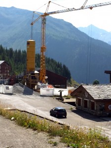 Le Lycopade sort de terre, près du garage de la commune.